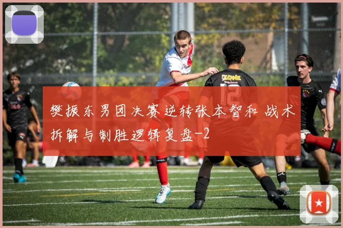 樊振东男团决赛逆转张本智和 战术拆解与制胜逻辑复盘